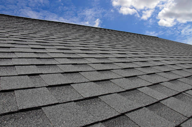 Best Asphalt Shingle Roofing  in Porters Neck, NC